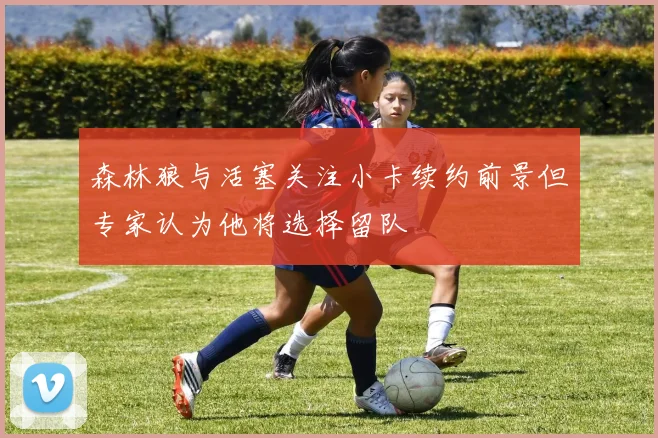 森林狼与活塞关注小卡续约前景但专家认为他将选择留队