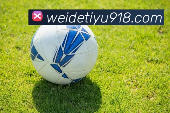 韦德体育品牌故事