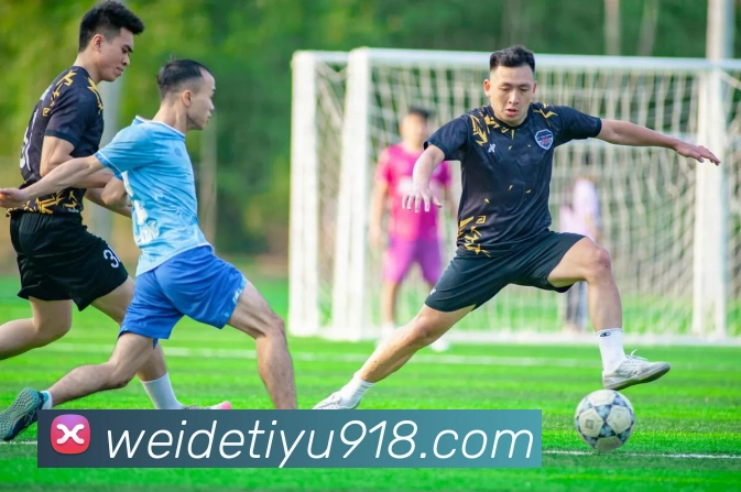 韦德体育服务体系