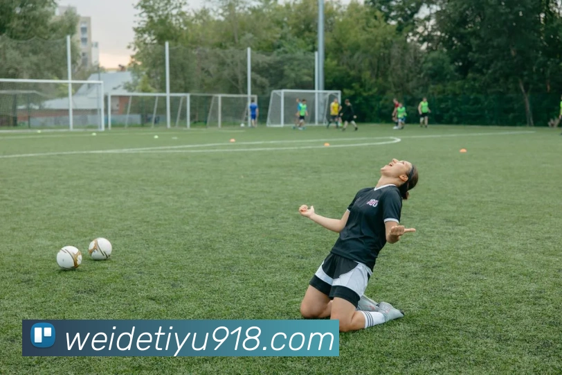 多媒体互动体验