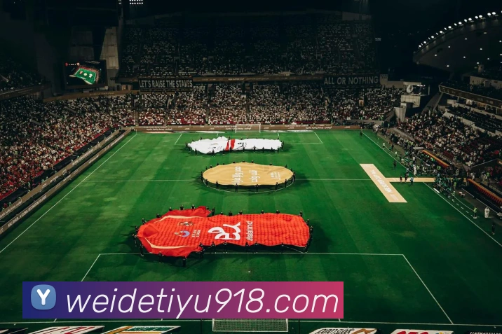 韦德体育APP 体育赛事宣传图